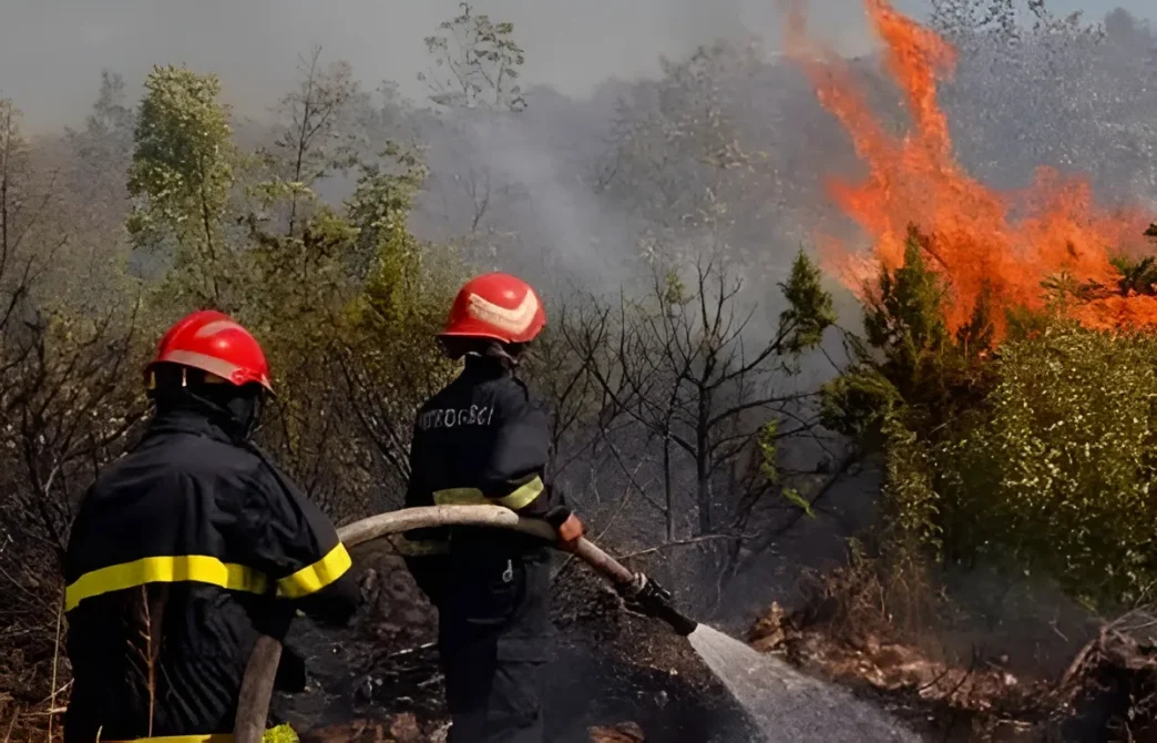 21 Incendies en une Seule Journée La Protection Civile en Alerte Face aux Feux de Forêts