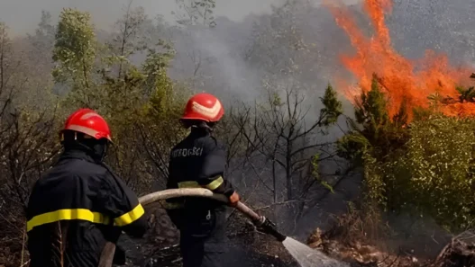 21 Incendies en une Seule Journée La Protection Civile en Alerte Face aux Feux de Forêts