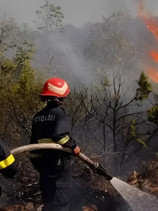 21 Incendies en une Seule Journée La Protection Civile en Alerte Face aux Feux de Forêts