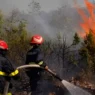 21 Incendies en une Seule Journée La Protection Civile en Alerte Face aux Feux de Forêts