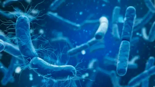 Le ministère de la Santé confirme deux décès dus à la diphtérie à Skikda