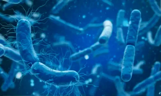 Le ministère de la Santé confirme deux décès dus à la diphtérie à Skikda