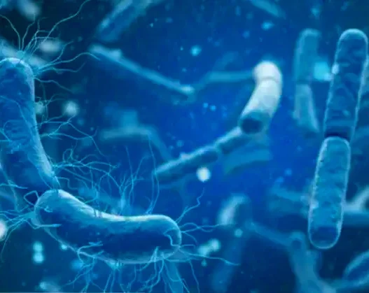 Le ministère de la Santé confirme deux décès dus à la diphtérie à Skikda