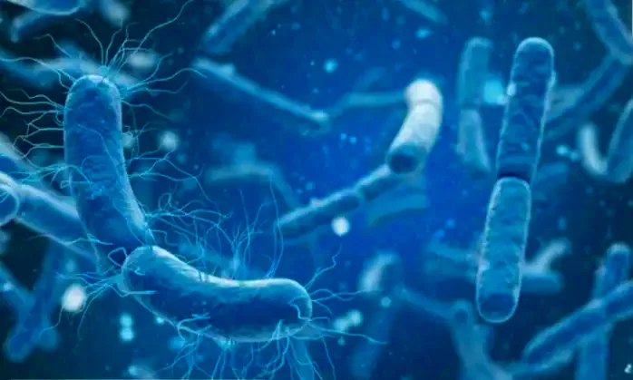 Le ministère de la Santé confirme deux décès dus à la diphtérie à Skikda