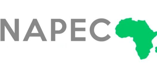 Oran capitale de l'énergie et de l'hydrogène le salon NAPEC 2025 ouvre ses portes 🇩🇿⚡️