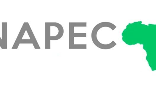 Oran capitale de l'énergie et de l'hydrogène le salon NAPEC 2025 ouvre ses portes 🇩🇿⚡️