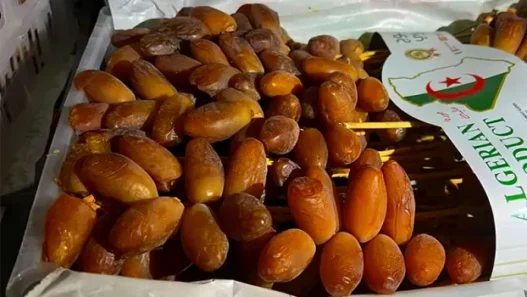 Codex Alimentarius La datte algérienne Deglet Nour conforme aux normes internationales