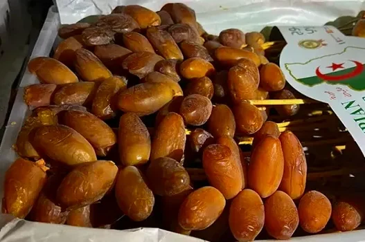 Codex Alimentarius La datte algérienne Deglet Nour conforme aux normes internationales