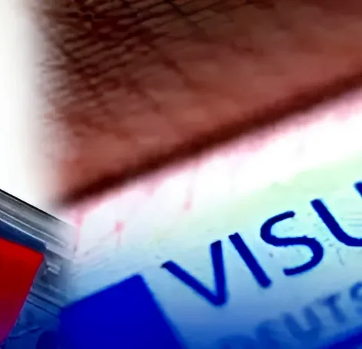 FACIL Nouveau Système de Communication de l’Ambassade d’Allemagne en Algérie