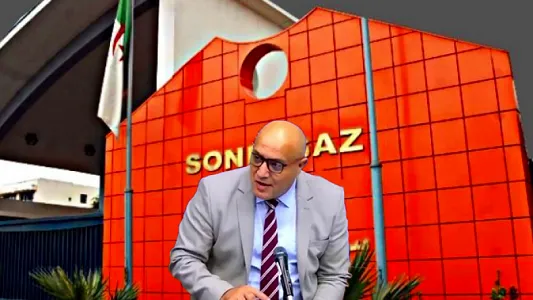 Khalil Hedna La Sonelgaz affiche une santé financière solide