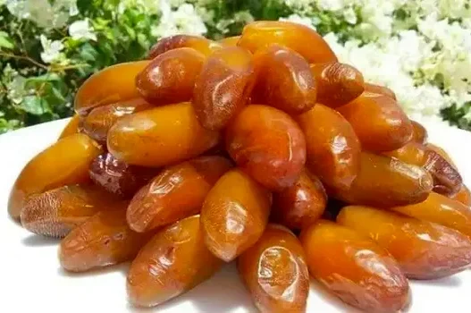 La Deglet Nour algérienne sacrée 4e meilleur fruit au monde