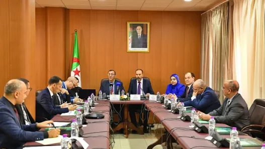 ANPP : Nouvelles stratégies pour renforcer la production locale et la numérisation du secteur pharmaceutique