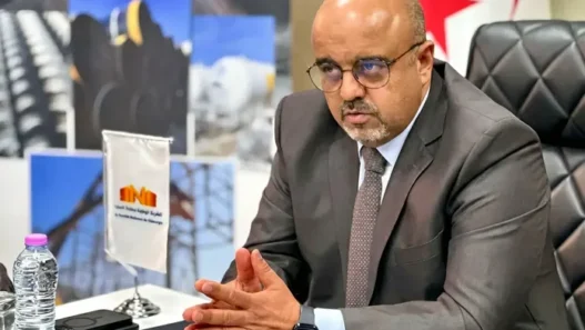 Adel Khemane nommé PDG de Madar Holding